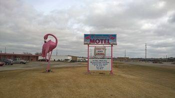Flamingo Motel Marshalltown Exterior photo